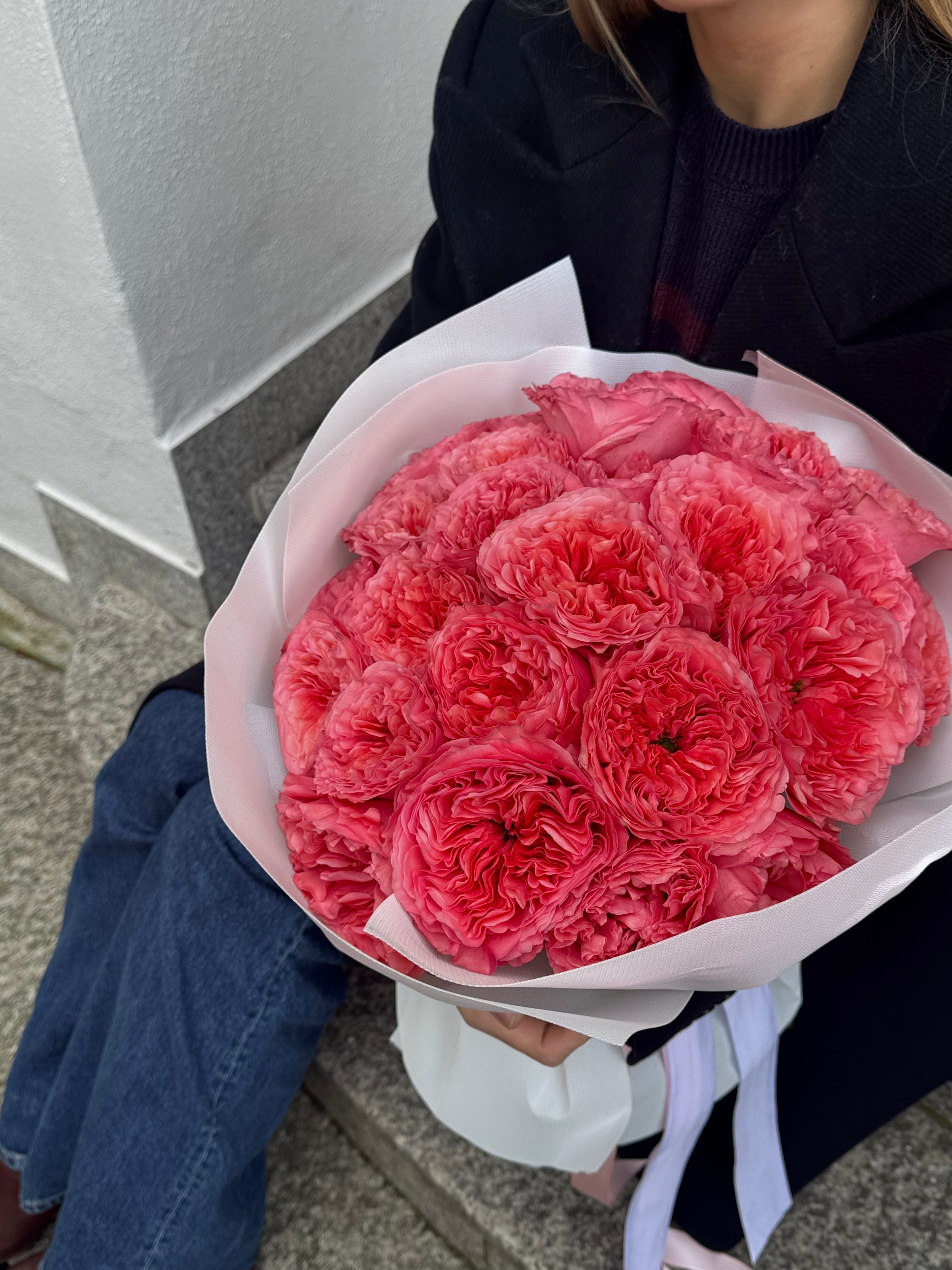 Pink Xpression Garden Rosen