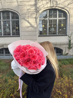 Pink Xpression Garden Rosen